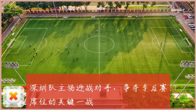 深圳队主场迎战对手,争夺季后赛席位的关键一战