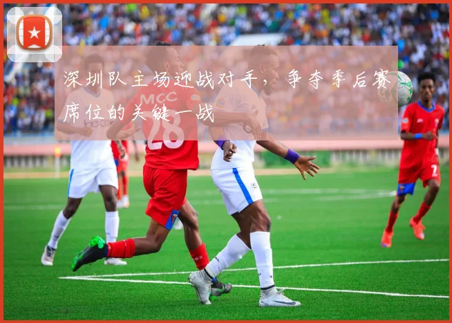 深圳队主场迎战对手,争夺季后赛席位的关键一战