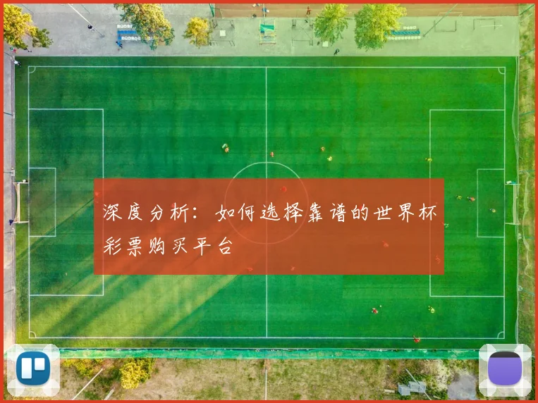 深度分析：如何选择靠谱的世界杯彩票购买平台