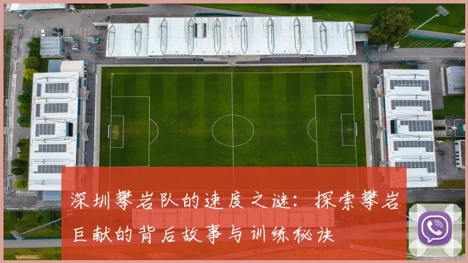 深圳攀岩队的速度之谜：探索攀岩巨献的背后故事与训练秘诀
