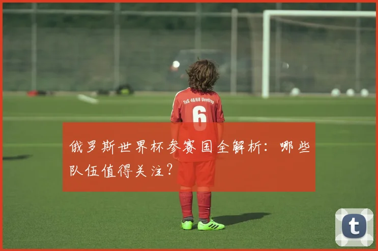 俄罗斯世界杯参赛国全解析：哪些队伍值得关注？