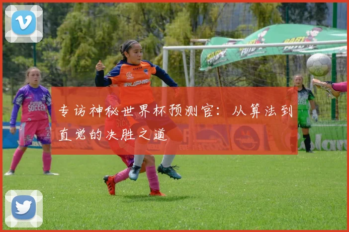 专访神秘世界杯预测官：从算法到直觉的决胜之道