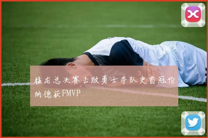 猛龙总决赛击败勇士夺队史首冠伦纳德获FMVP