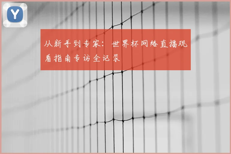 从新手到专家：世界杯网络直播观看指南专访全记录