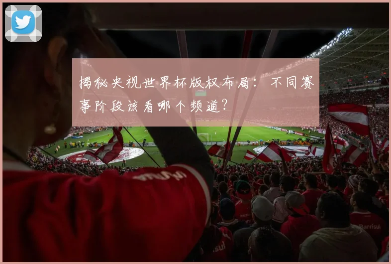 揭秘央视世界杯版权布局：不同赛事阶段该看哪个频道？